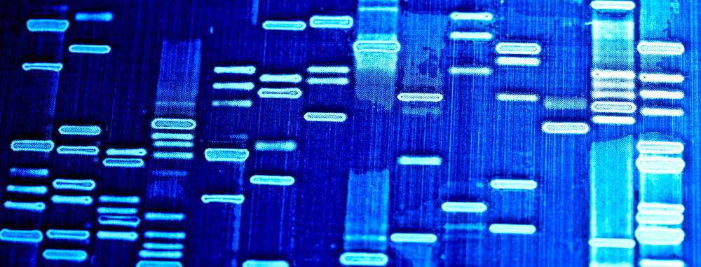 DNA 1 DNA 1