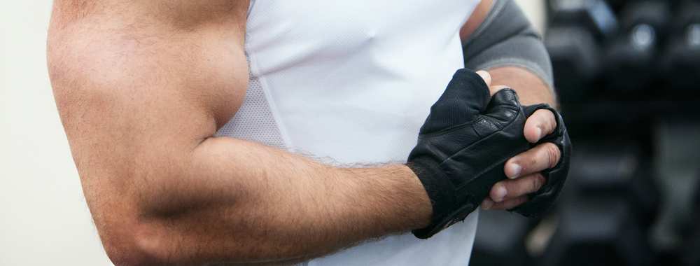 Muscle 1 Muscle 1