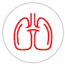 Lung icon