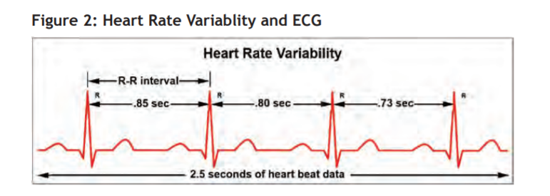 Fig 2 - heartbeat