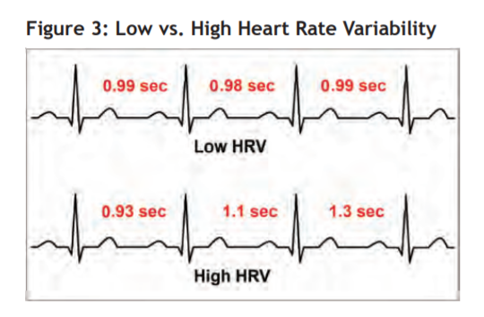 Fig 3 - heartbeat