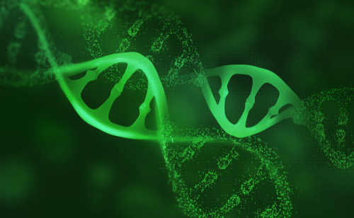 Green strip of DNA strands