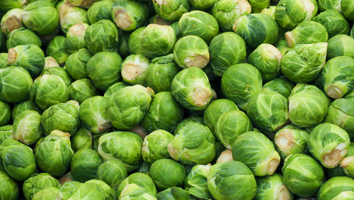 Sprouts thumb Sprouts thumb